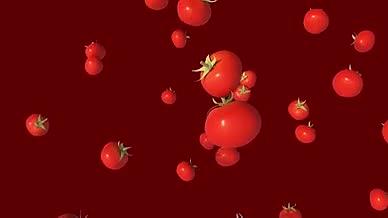 西红柿掉落AE模板视频的预览图
